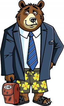 insurance-bear