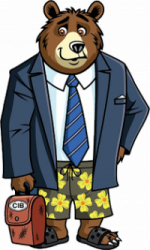 insurance-bear
