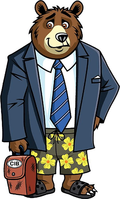 insurance-bear